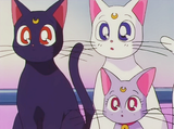 Sailor Moon Kitties Necklaces